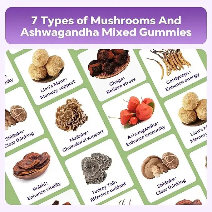 USA Stock Mixed Fruit Flavor Mushroom Complex Gummies Low Calorie Supplement